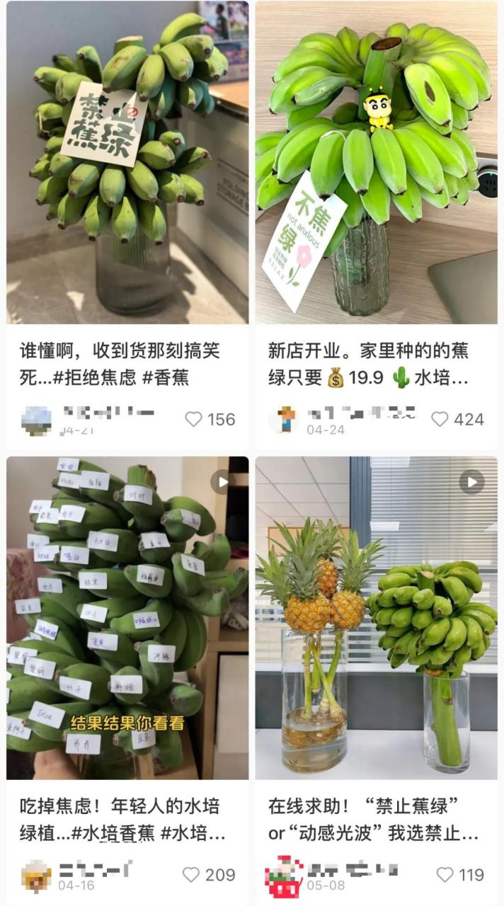 “不要蕉绿”走红爆火背后的情绪价值-传播蛙